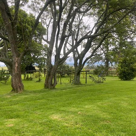 Bellevue Berg Cottage Bergville Luaran gambar