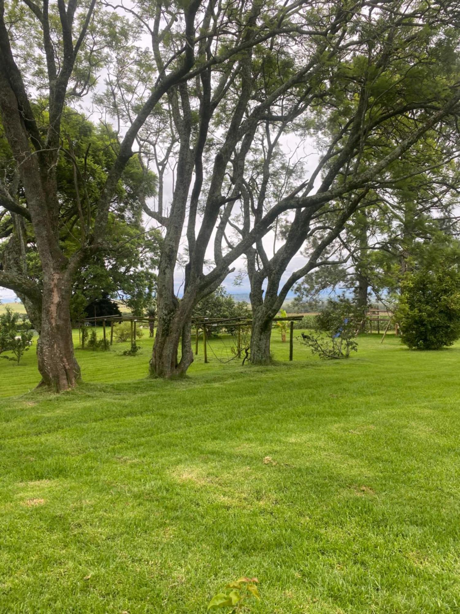 Bellevue Berg Cottage Bergville Luaran gambar